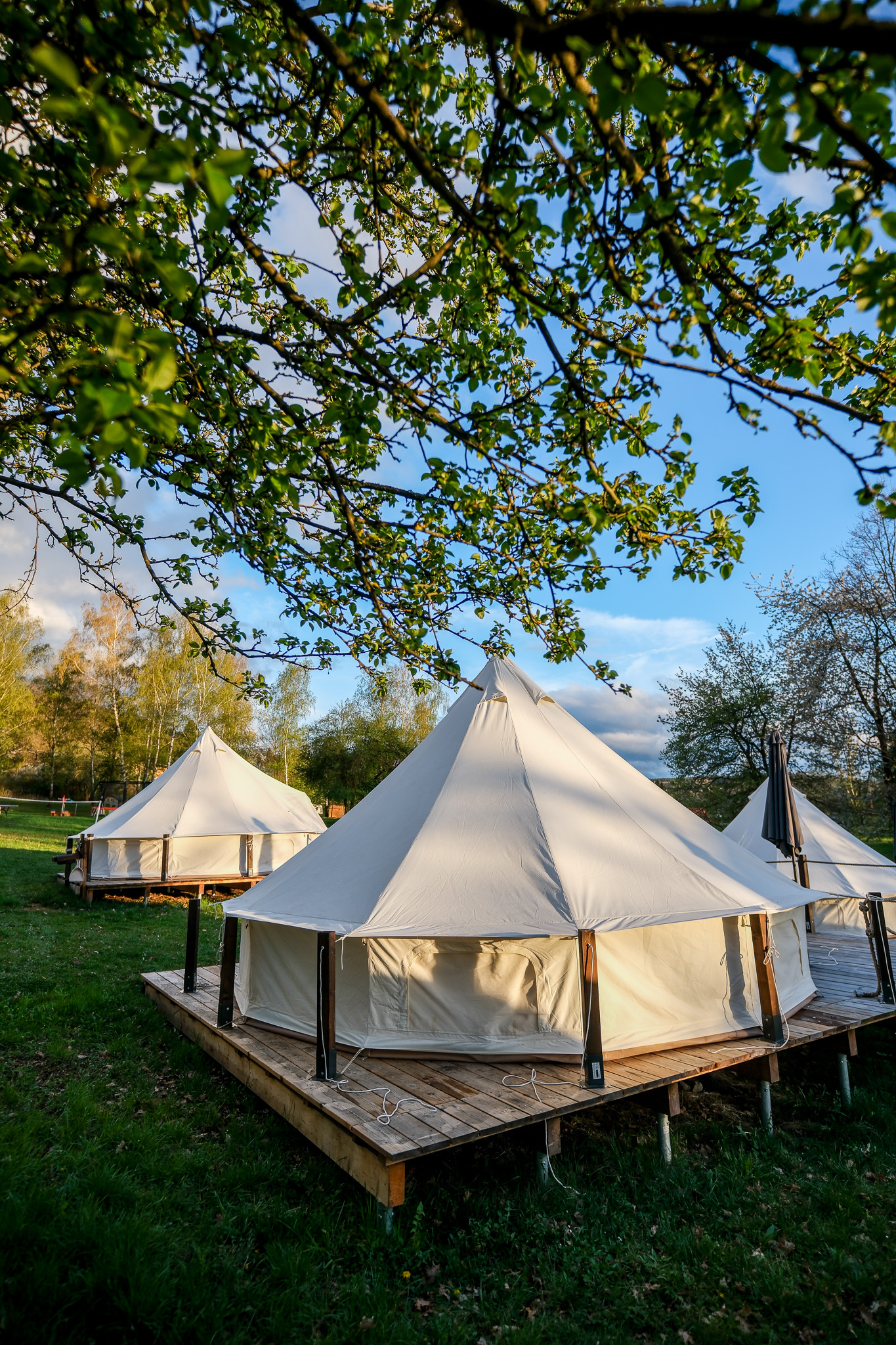 Glamping tenty